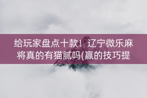给玩家盘点十款！辽宁微乐麻将真的有猫腻吗(赢的技巧提高胜率)