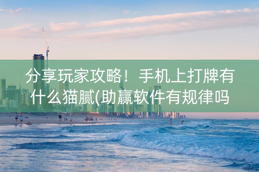 分享玩家攻略！手机上打牌有什么猫腻(助赢软件有规律吗)