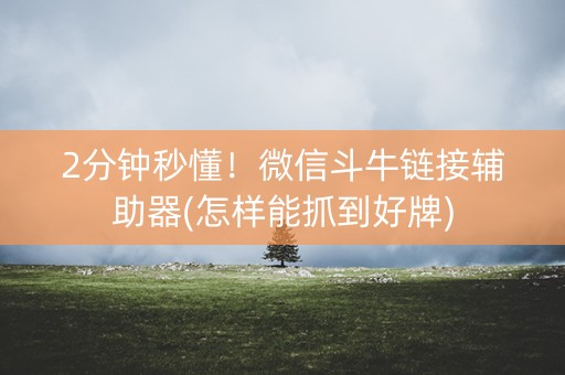 2分钟秒懂！微信斗牛链接辅助器(怎样能抓到好牌)