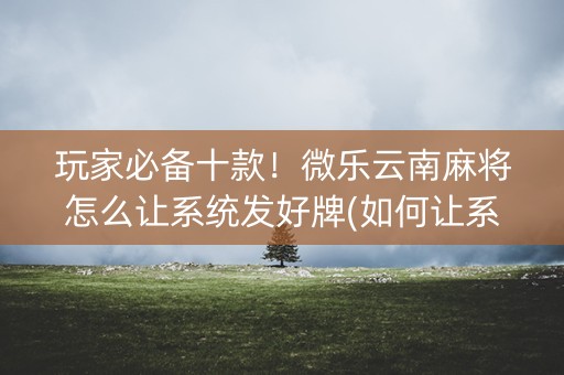 玩家必备十款！微乐云南麻将怎么让系统发好牌(如何让系统发好牌)