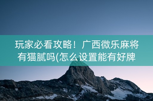 玩家必看攻略！广西微乐麻将有猫腻吗(怎么设置能有好牌)