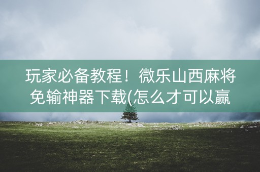 玩家必备教程！微乐山西麻将免输神器下载(怎么才可以赢)