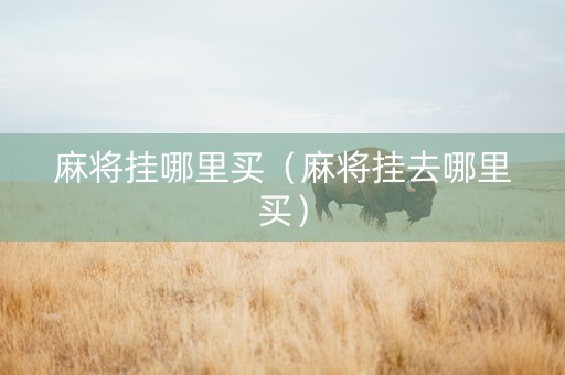 麻将挂哪里买（麻将挂去哪里买）