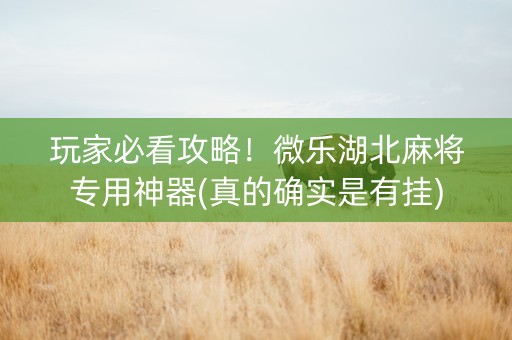 玩家必看攻略！微乐湖北麻将专用神器(真的确实是有挂)