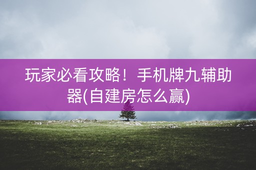 玩家必看攻略！手机牌九辅助器(自建房怎么赢)