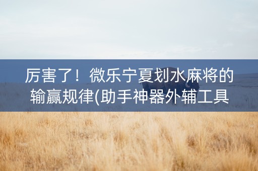 厉害了！微乐宁夏划水麻将的输赢规律(助手神器外辅工具)