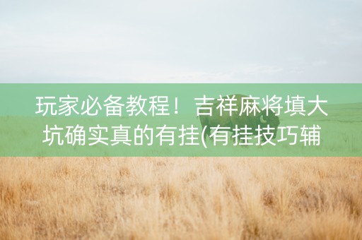 玩家必备教程！吉祥麻将填大坑确实真的有挂(有挂技巧辅助器)