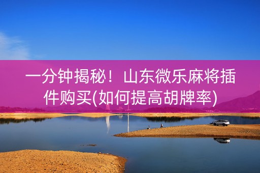 一分钟揭秘！山东微乐麻将插件购买(如何提高胡牌率)