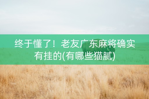 终于懂了！老友广东麻将确实有挂的(有哪些猫腻)