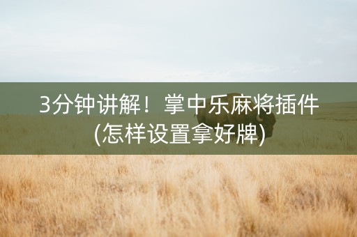 3分钟讲解！掌中乐麻将插件(怎样设置拿好牌)