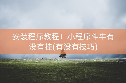 安装程序教程！小程序斗牛有没有挂(有没有技巧)