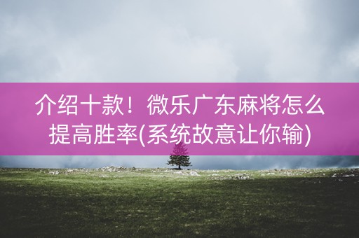 介绍十款！微乐广东麻将怎么提高胜率(系统故意让你输)