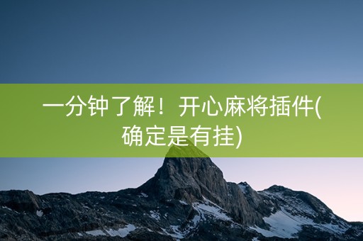 一分钟了解！开心麻将插件(确定是有挂)