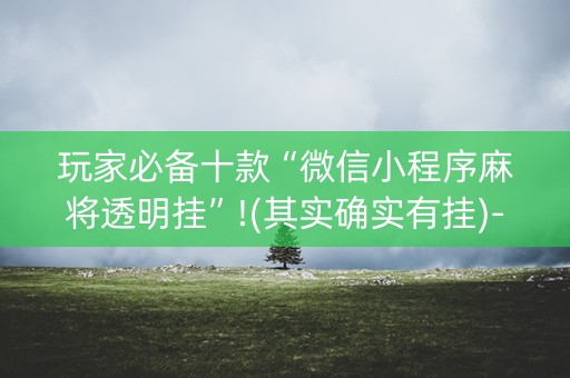 玩家必备十款“微信小程序麻将透明挂”!(其实确实有挂)-知乎
