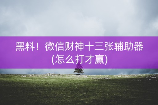黑料！微信财神十三张辅助器(怎么打才赢)