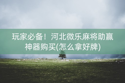 玩家必备！河北微乐麻将助赢神器购买(怎么拿好牌)