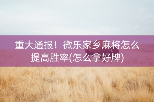 重大通报！微乐家乡麻将怎么提高胜率(怎么拿好牌)