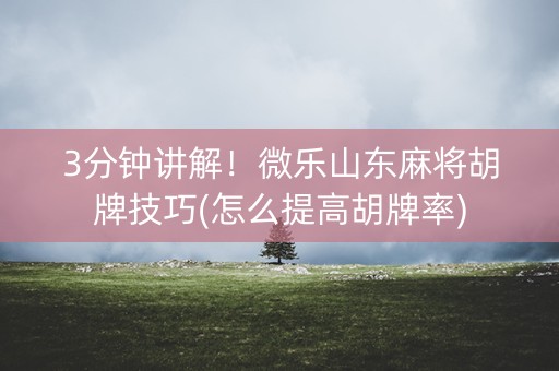 3分钟讲解！微乐山东麻将胡牌技巧(怎么提高胡牌率)
