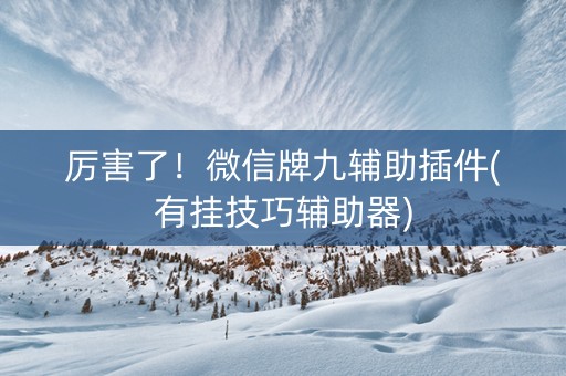 厉害了！微信牌九辅助插件(有挂技巧辅助器)