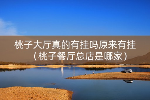 桃子大厅真的有挂吗原来有挂（桃子餐厅总店是哪家）