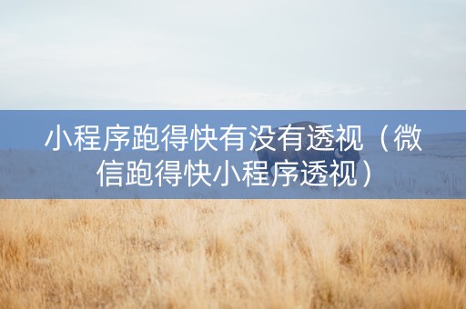 小程序跑得快有没有透视（微信跑得快小程序透视）