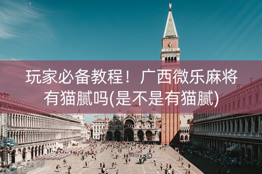 玩家必备教程！广西微乐麻将有猫腻吗(是不是有猫腻)
