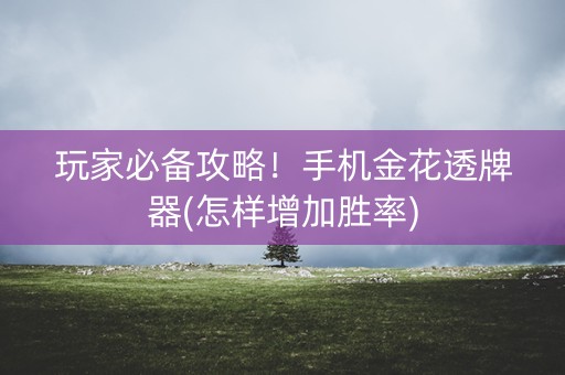 玩家必备攻略！手机金花透牌器(怎样增加胜率)