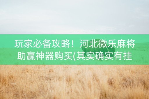 玩家必备攻略！河北微乐麻将助赢神器购买(其实确实有挂)