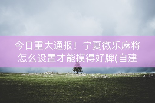 今日重大通报！宁夏微乐麻将怎么设置才能摸得好牌(自建房怎么赢)