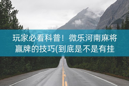 玩家必看科普！微乐河南麻将赢牌的技巧(到底是不是有挂)