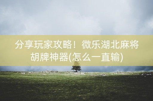 分享玩家攻略！微乐湖北麻将胡牌神器(怎么一直输)