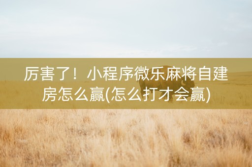 厉害了！小程序微乐麻将自建房怎么赢(怎么打才会赢)