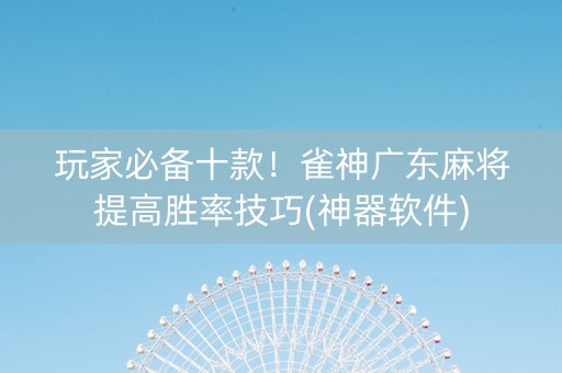 玩家必备十款！雀神广东麻将提高胜率技巧(神器软件)