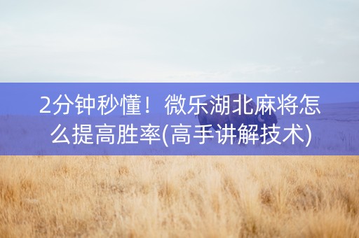 2分钟秒懂！微乐湖北麻将怎么提高胜率(高手讲解技术)
