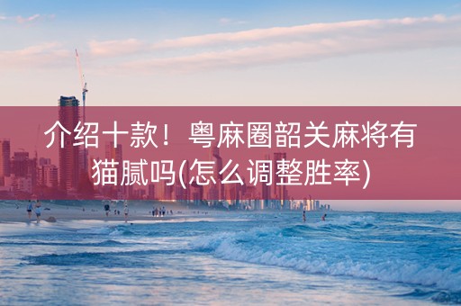 介绍十款！粤麻圈韶关麻将有猫腻吗(怎么调整胜率)