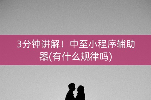 3分钟讲解！中至小程序辅助器(有什么规律吗)