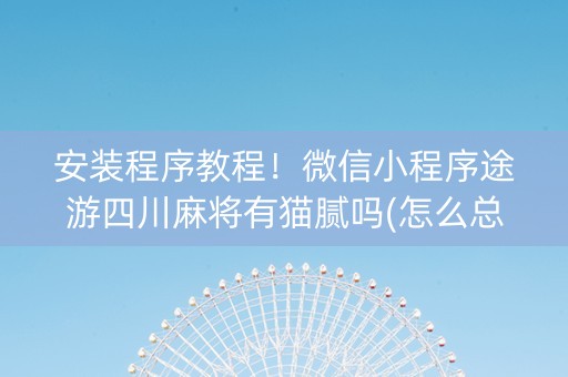 安装程序教程！微信小程序途游四川麻将有猫腻吗(怎么总输有什么猫腻)