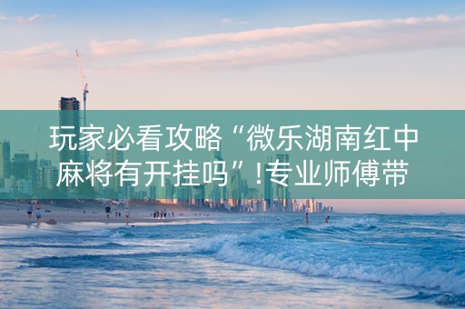 玩家必看攻略“微乐湖南红中麻将有开挂吗”!专业师傅带你一起了解（详细教程）-知乎