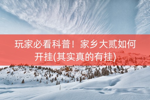 玩家必看科普！家乡大贰如何开挂(其实真的有挂)