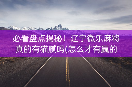 必看盘点揭秘！辽宁微乐麻将真的有猫腻吗(怎么才有赢的几率)