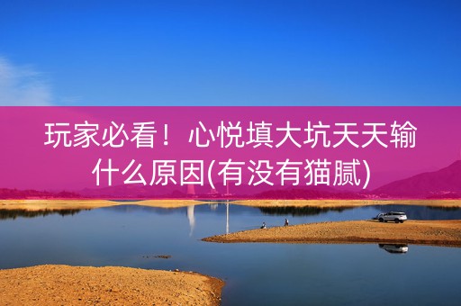 玩家必看！心悦填大坑天天输什么原因(有没有猫腻)