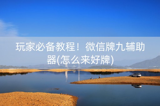 玩家必备教程！微信牌九辅助器(怎么来好牌)