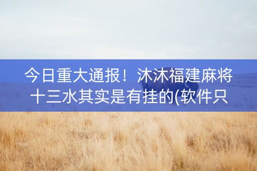 今日重大通报！沐沐福建麻将十三水其实是有挂的(软件只赢不输)