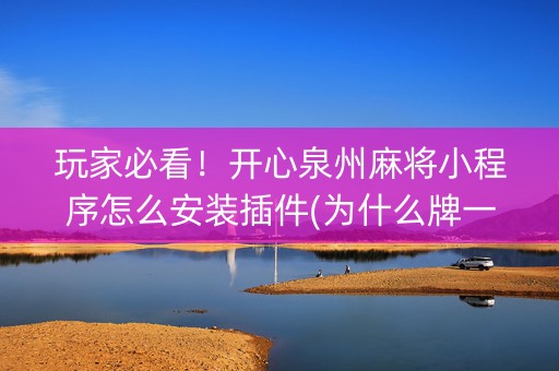 玩家必看！开心泉州麻将小程序怎么安装插件(为什么牌一直很差)