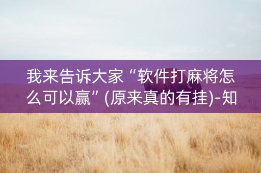 我来告诉大家“软件打麻将怎么可以赢”(原来真的有挂)-知乎