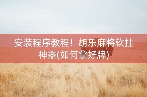 安装程序教程！胡乐麻将软挂神器(如何拿好牌)
