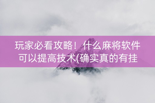 玩家必看攻略！什么麻将软件可以提高技术(确实真的有挂)