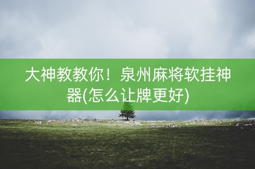 大神教教你！泉州麻将软挂神器(怎么让牌更好)