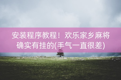 安装程序教程！欢乐家乡麻将确实有挂的(手气一直很差)