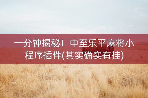 一分钟揭秘！中至乐平麻将小程序插件(其实确实有挂)